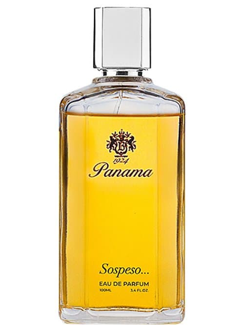 Panama Sospeso