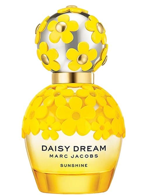 Daisy Dream Sunshine 2019