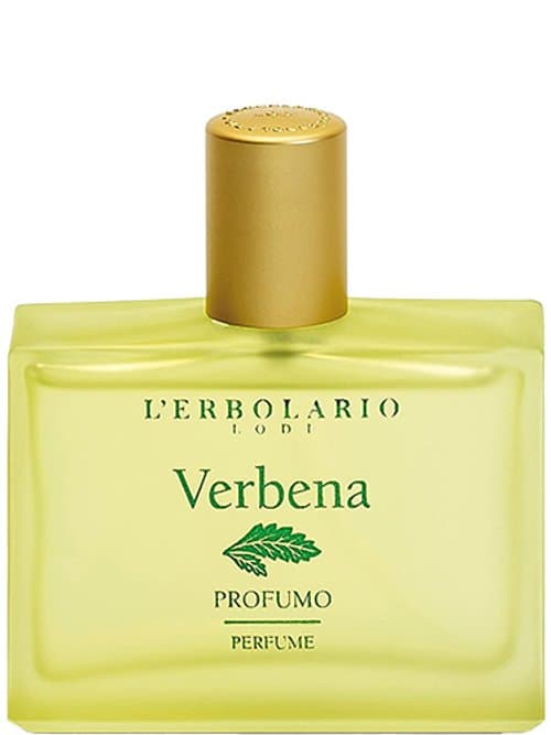 Verbena