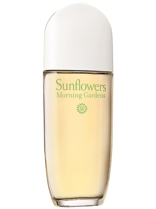 Sunflowers Morning Gardens 2015