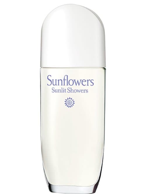 Sunflowers Sunlit Showers 2019