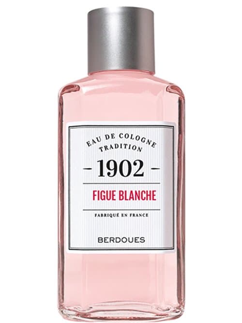 1902 Figue Blanche