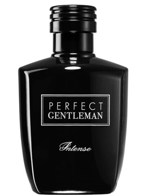 Perfect Gentleman Intense