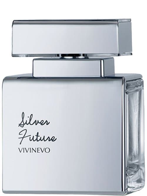 Silver Future