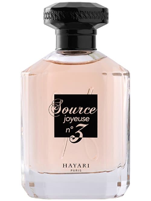 Source Joyeuse Nº 3