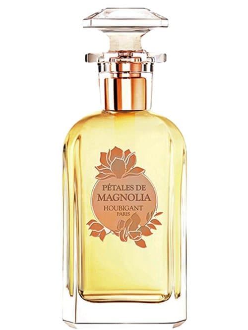 Pétales De Magnolia