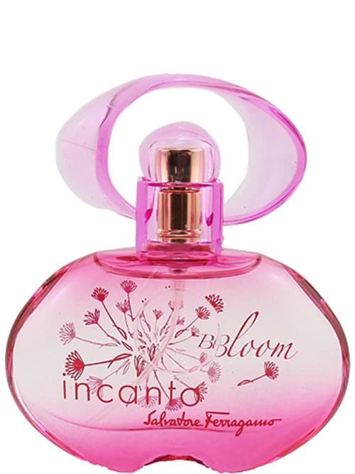 Incanto Bloom New Edition