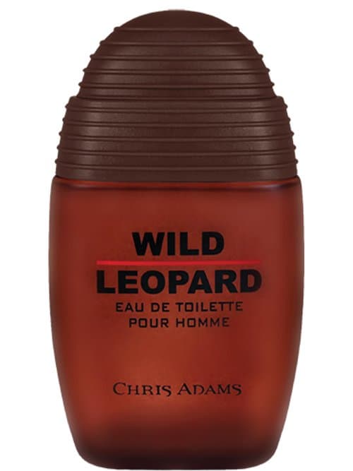 Wild Leopard