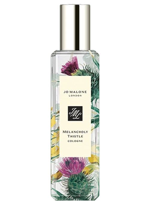 Melancholy Thistle 2023