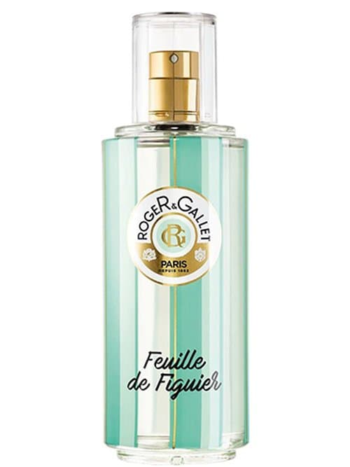 Feuille De Figuier 2019