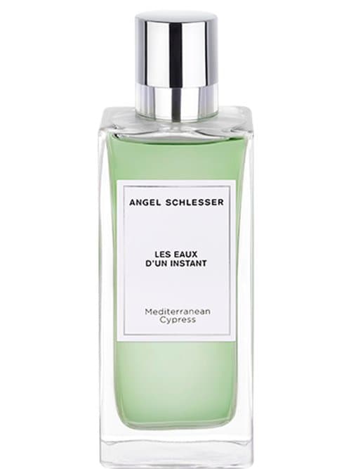 Mediterranean Cypress