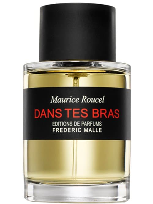 Dans Tes Bras