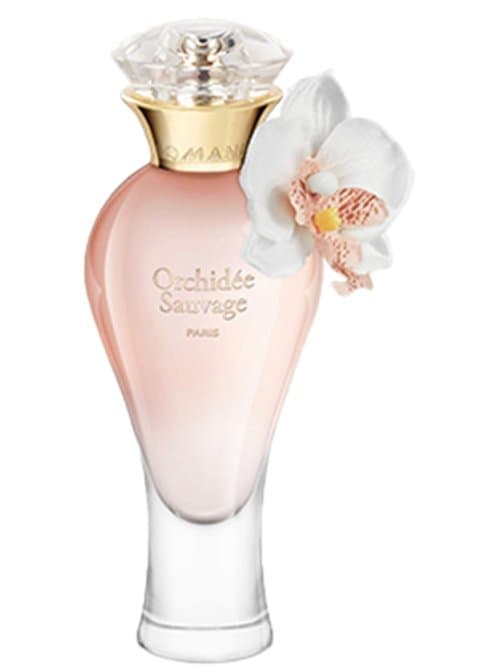 Orchidée Sauvage