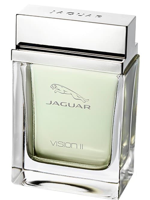 Jaguar Vision Ii