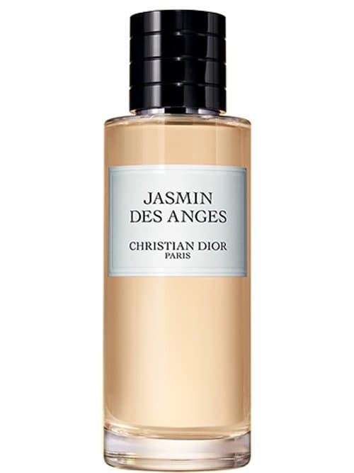Jasmin Des Anges