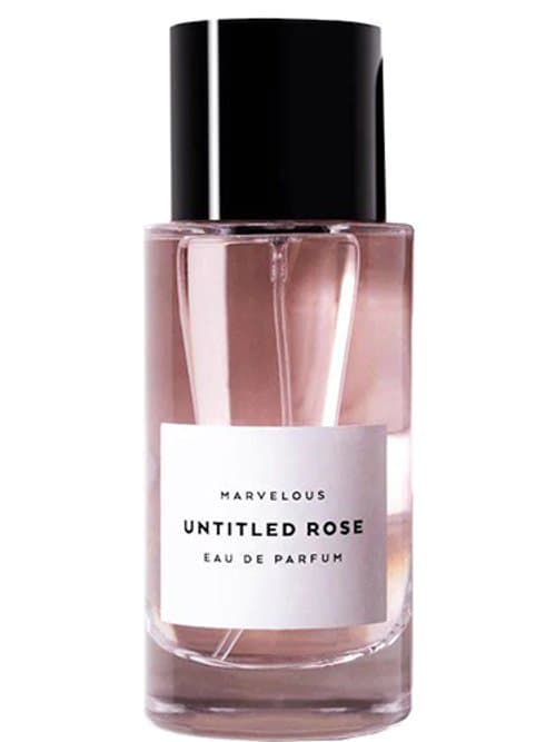 Untitled Rose