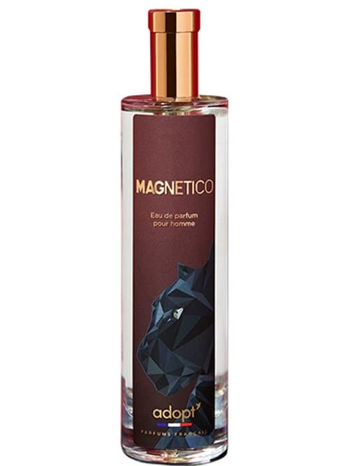 Magnetico