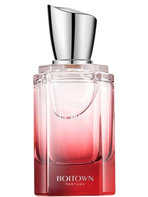 Rose In Wild