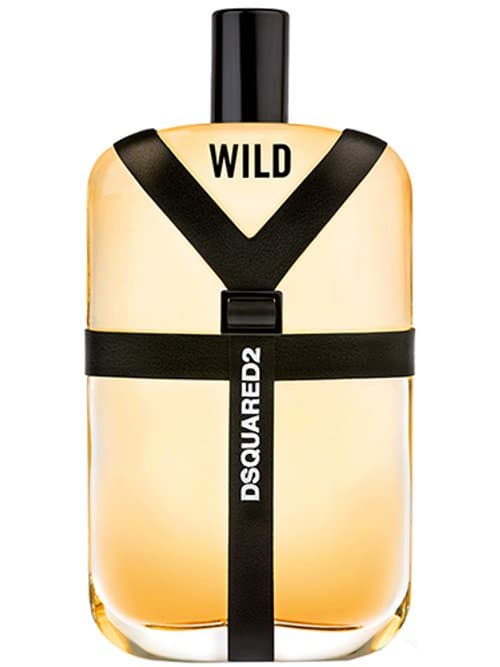 Dsquared2 Wild