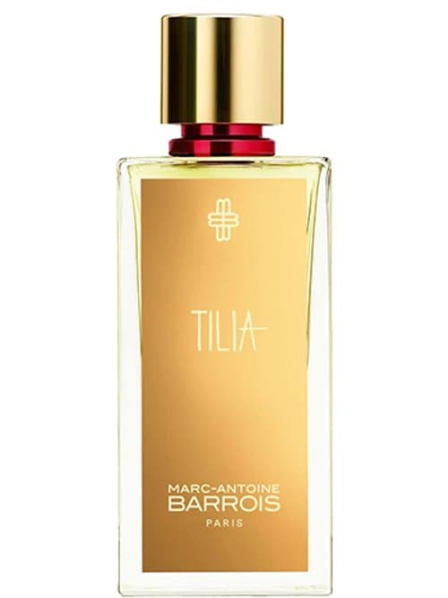 Tilia