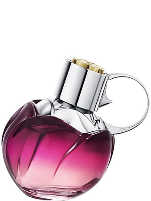 Wanted Girl By Night