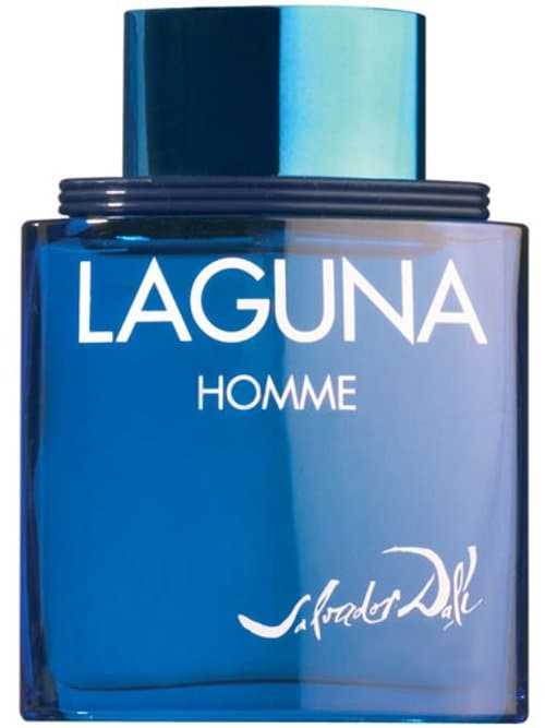 Laguna Homme