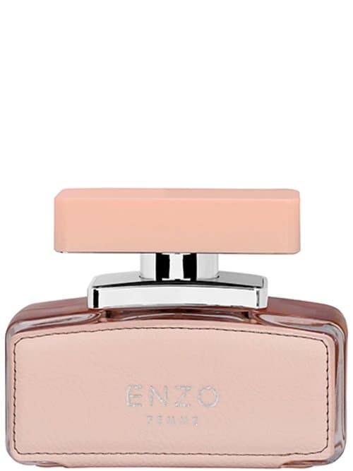 Enzo Femme