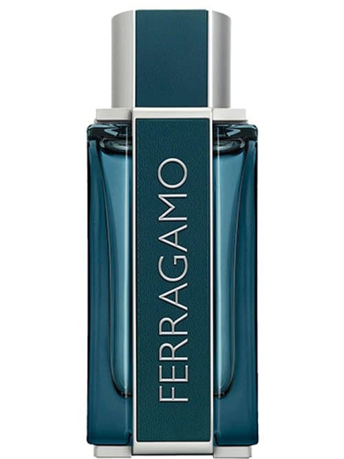 Ferragamo Intense Leather