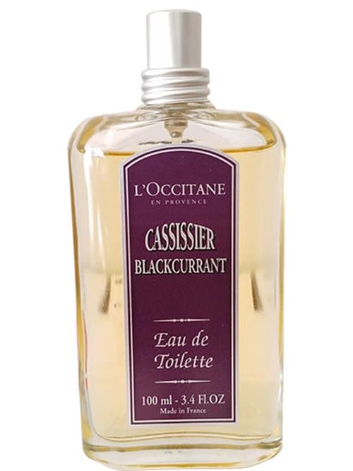 Cassissier / Blackcurrant