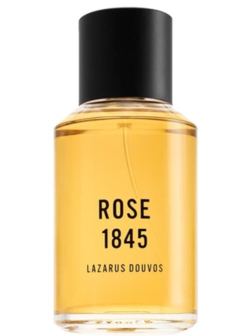 Rose 1845
