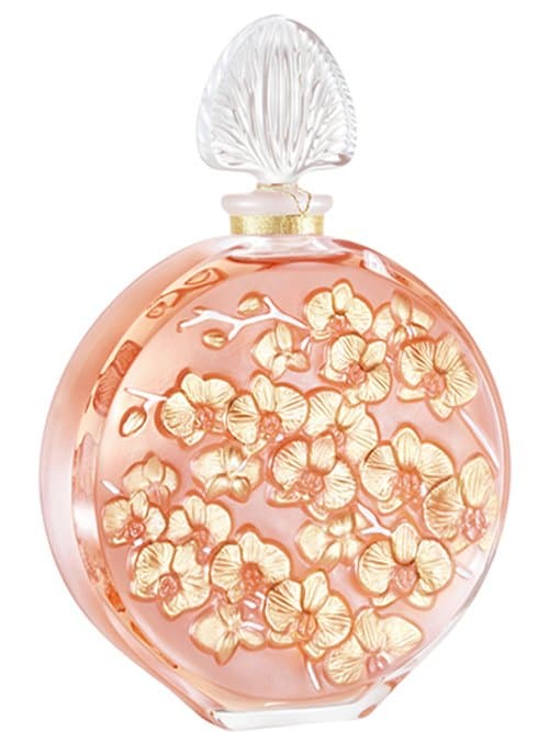 Lalique De Lalique Orchidée 2020
