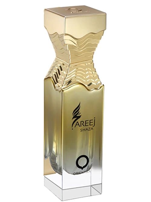 Areej Shaza