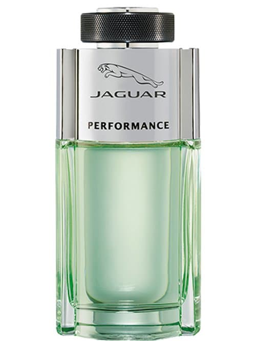 Jaguar Performance