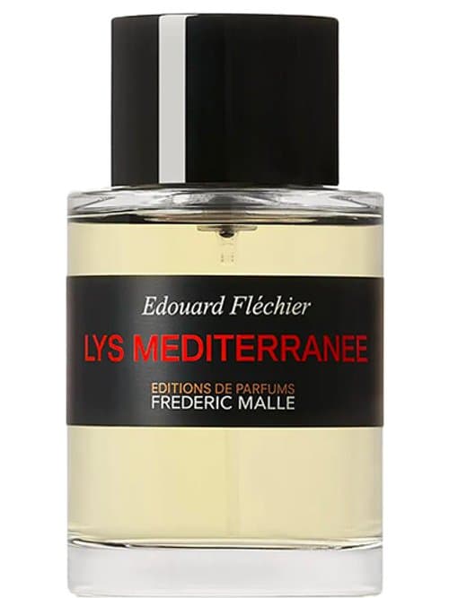 Lys Méditerranée