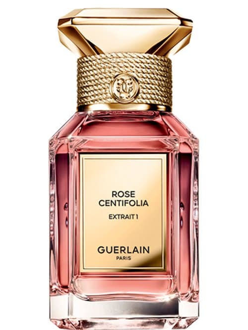 Rose Centifolia Extrait 1