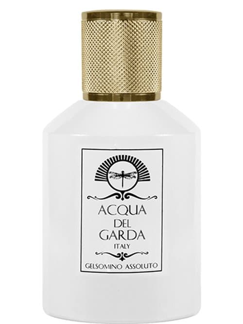 Gelsomino Assoluto