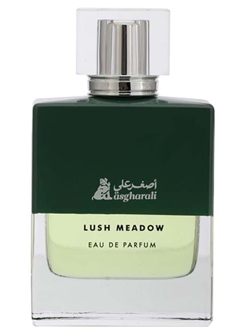 Lush Meadow