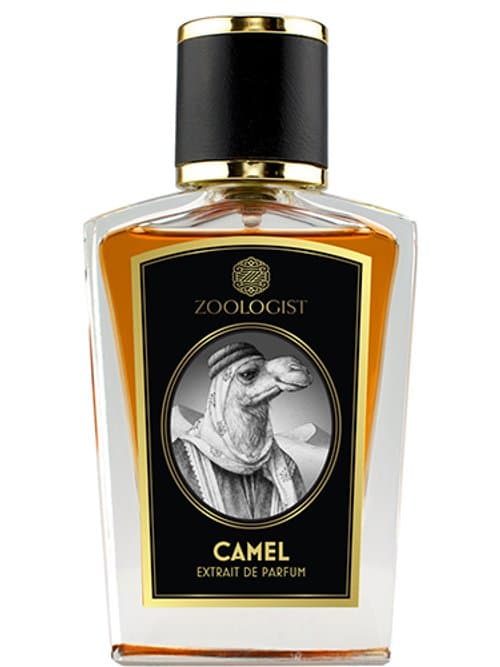 Camel