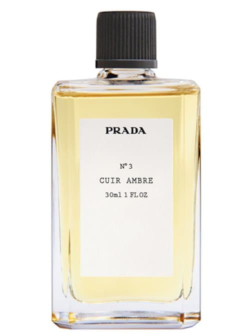 Cuir Ambre Nº 3