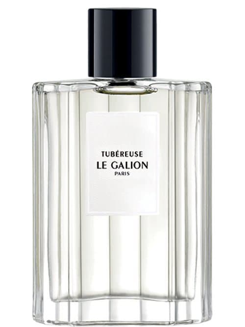 Tubéreuse