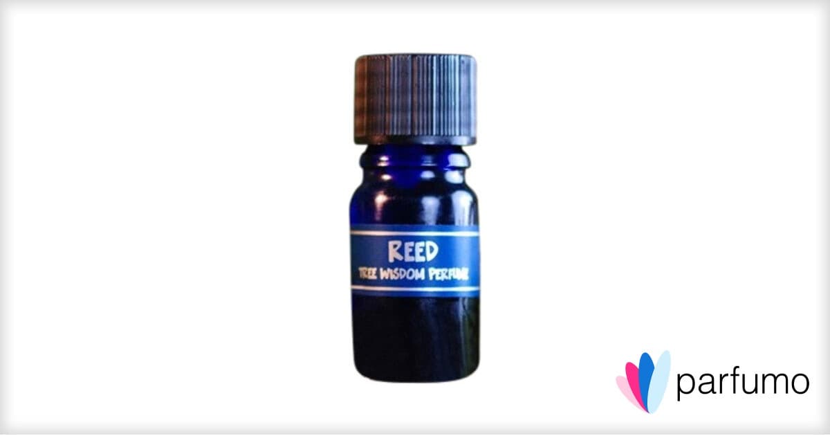 G I R L by Pharrell Williams