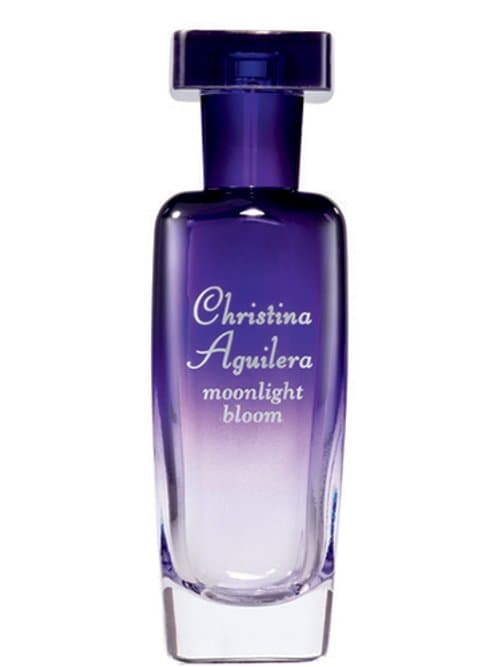 Moonlight Bloom