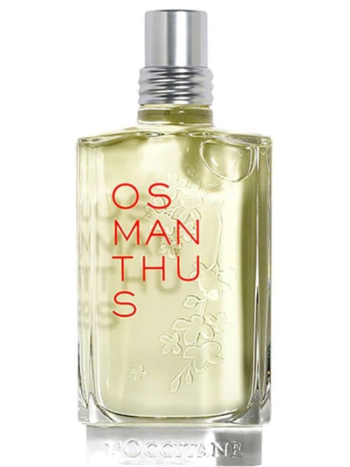 Osmanthus
