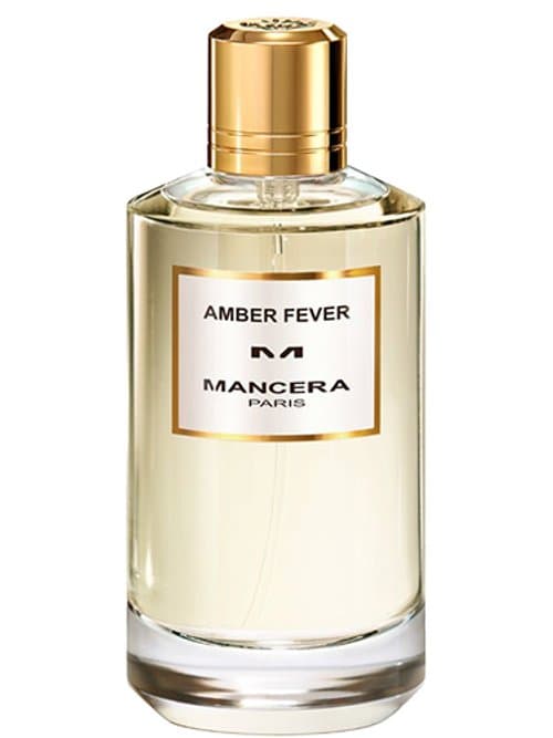 Amber Fever