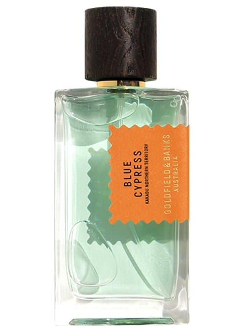 Blue Cypress
