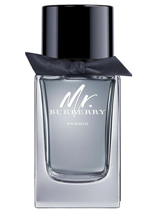 Mr. Burberry Indigo