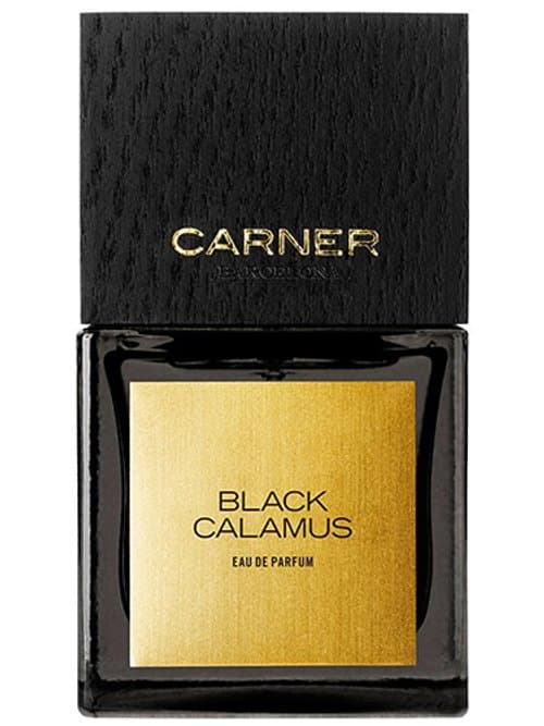 Black Calamus