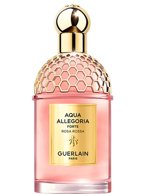 Rosa Rossa Forte