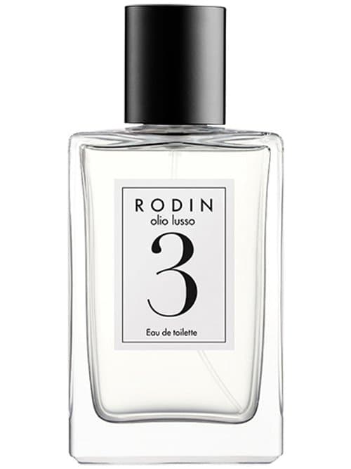 Rodin 3