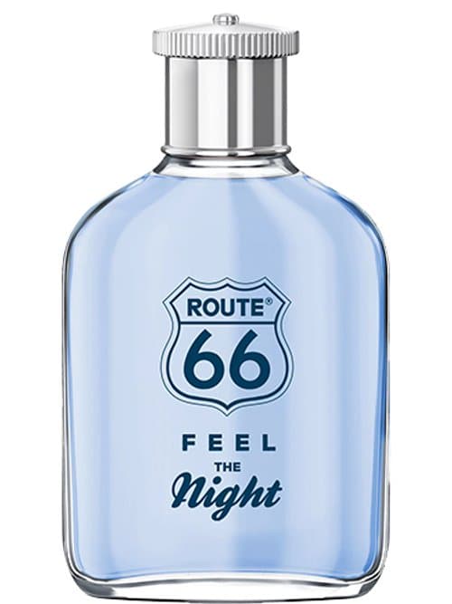 Feel The Night
